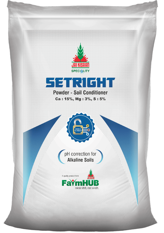 SETRIGHT